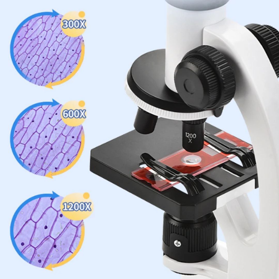 Microscopio educativo AMC-2656