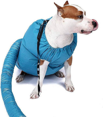 Secador de pelo de mascota AMC-1069