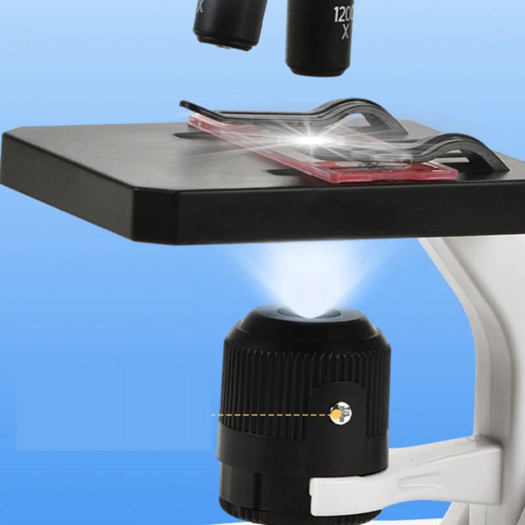 Microscopio educativo AMC-2656