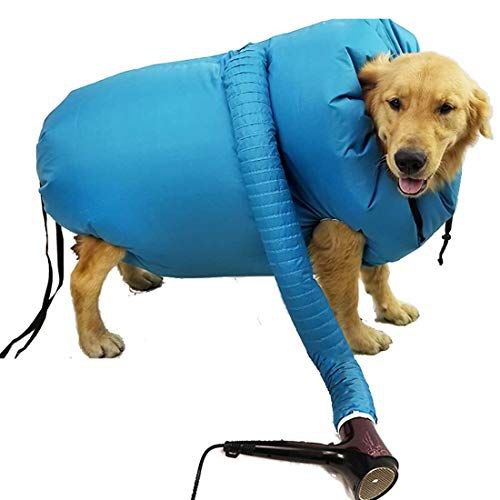 Secador de pelo de mascota AMC-1069