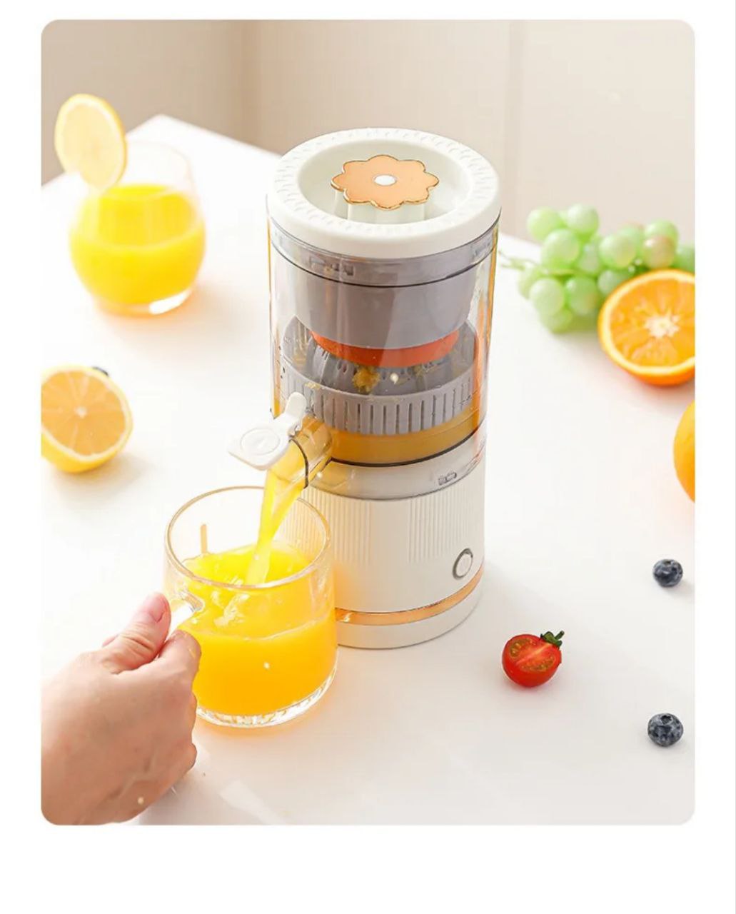 Extractor de jugo eléctrico AMC-636