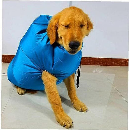 Secador de pelo de mascota AMC-1069