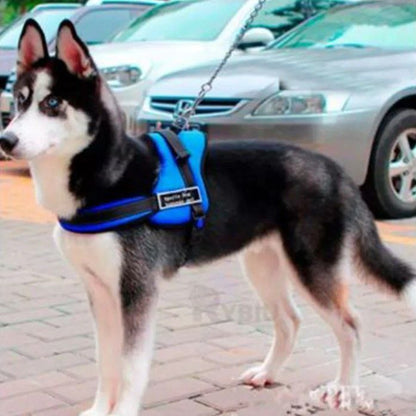 Arnés para perro talla XL AMC-2464